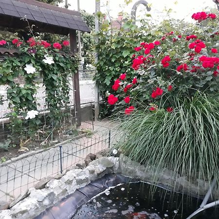 מריבור Apartment Zorec מראה חיצוני תמונה