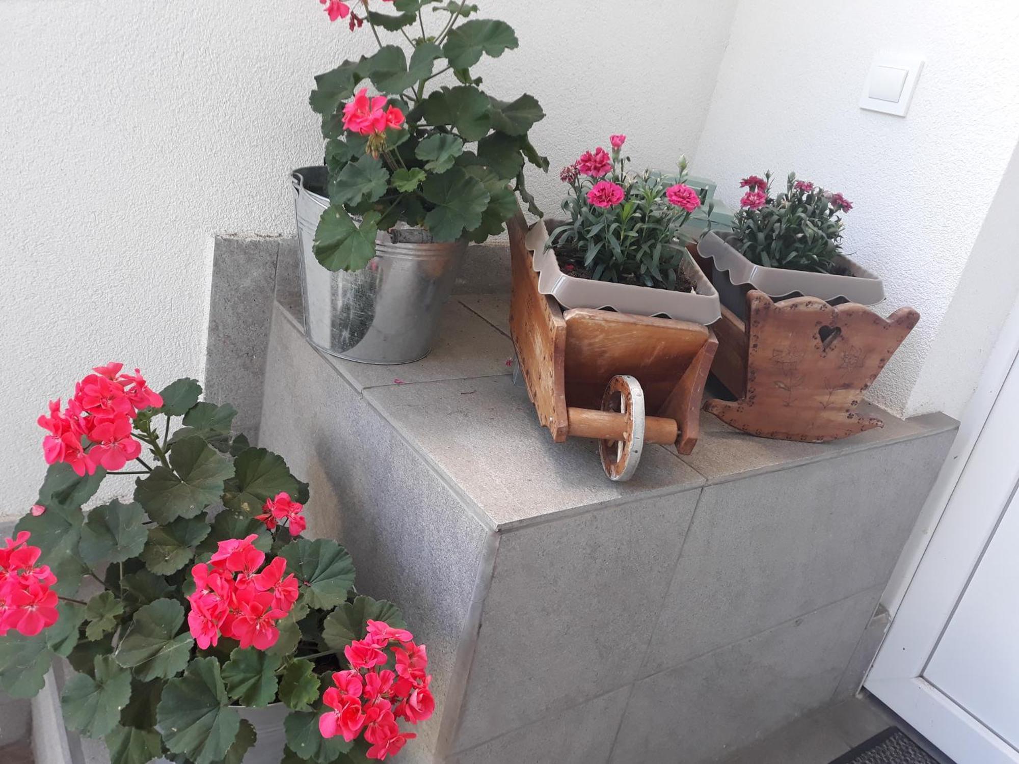 מריבור Apartment Zorec מראה חיצוני תמונה