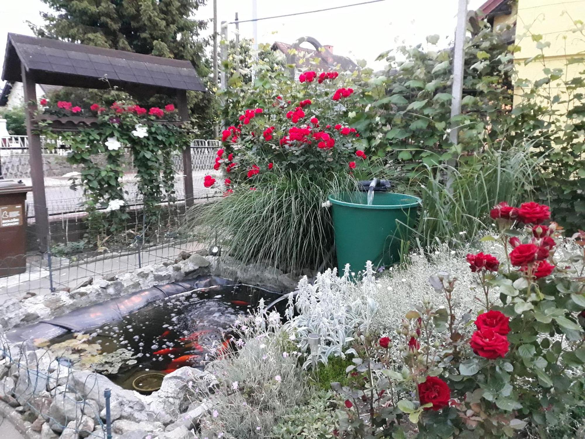 מריבור Apartment Zorec מראה חיצוני תמונה